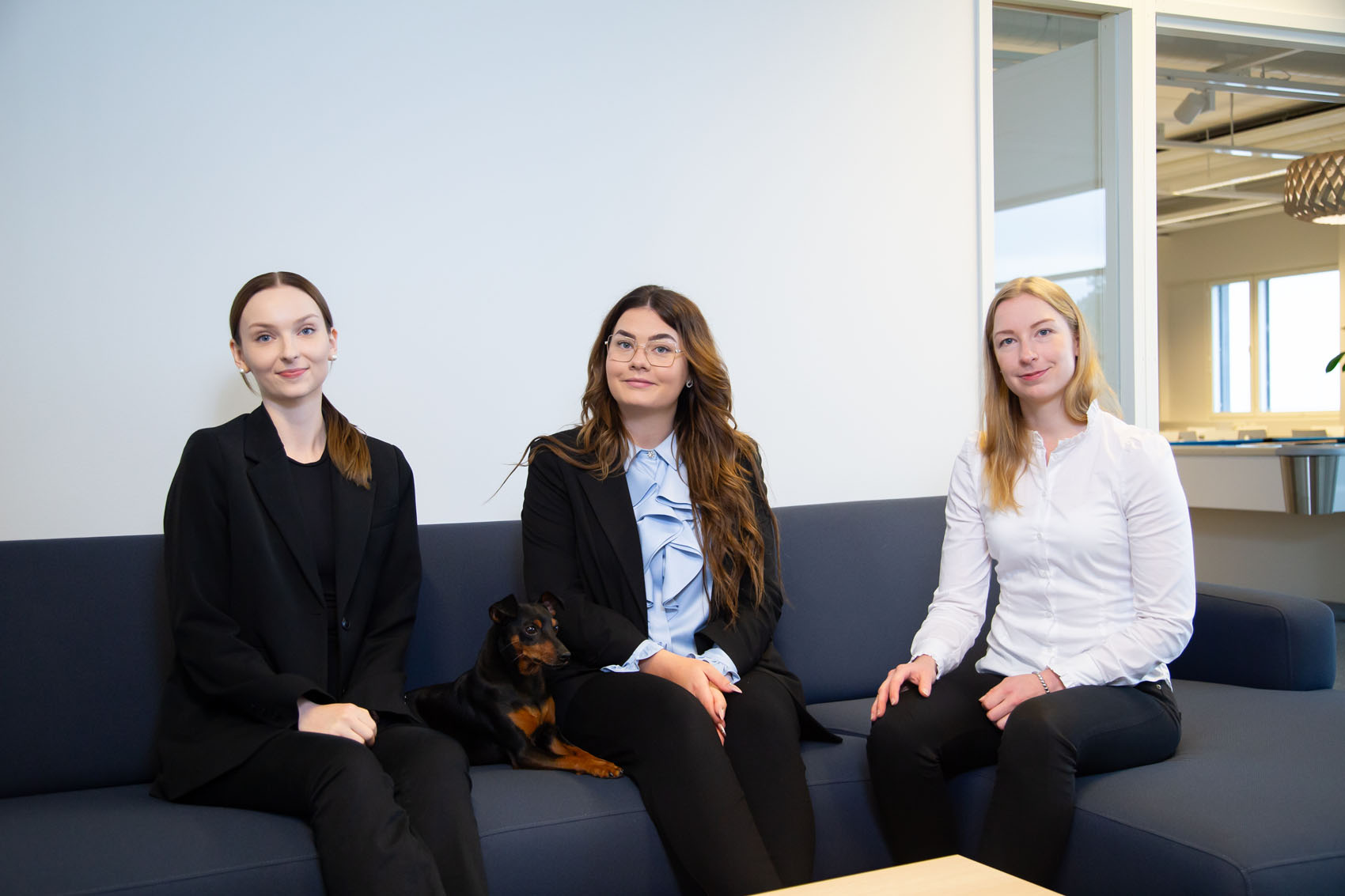 Revisions- och expertorganisation SYS Audit Oy och Tilintarkastus Riuttanen Oy